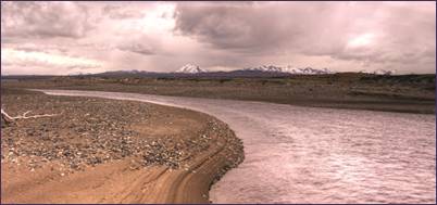 Bahia Windhond