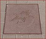 Chuvalo star on the walk of fame
