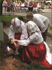 planting soil from Croatia in the garden