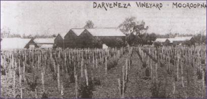 vinograd