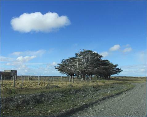 Descripción: IMG_8154.JPG