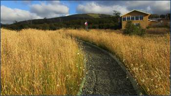 Descripción: IMG_9185.JPG