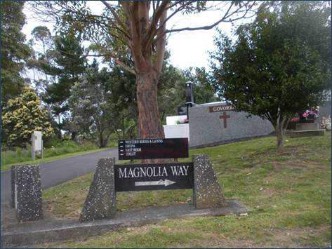 Descripción: DSCN1243.JPG