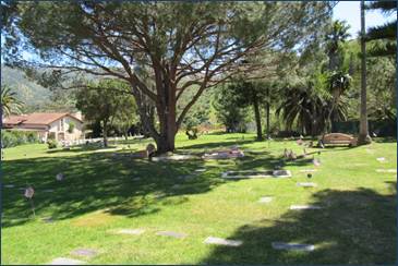 Descripción: IMG_1990.JPG