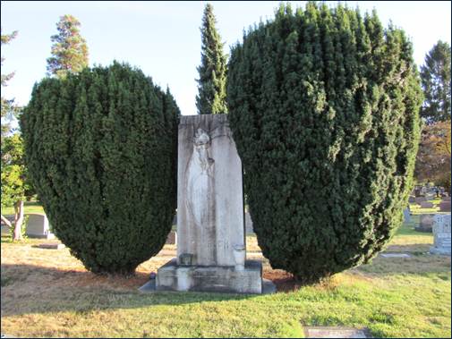 Descripción: IMG_3837.JPG