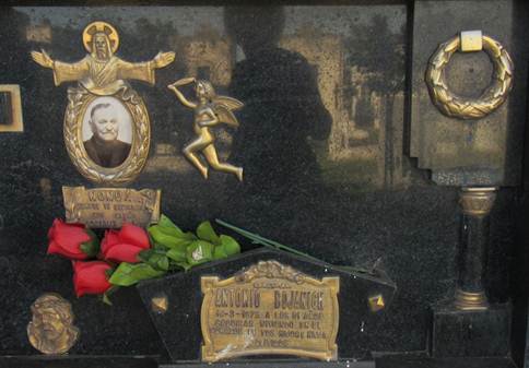 Descripción: IMG_3080.JPG