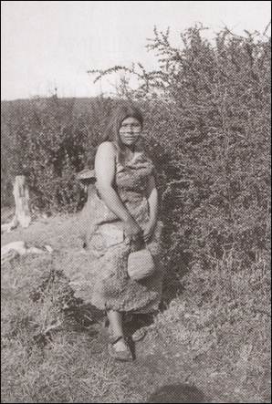 Descripción: 86.jpg