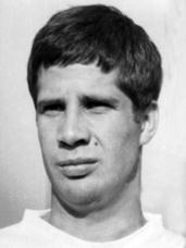 Descripcin: fulgosi sinisa