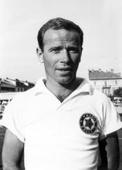 Descripcin: papec zlatko