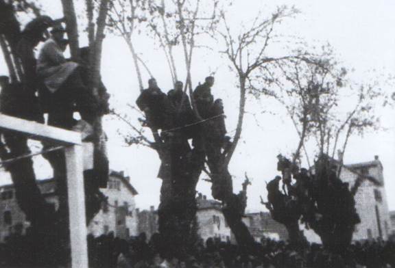 Descripcin: SWScan00908